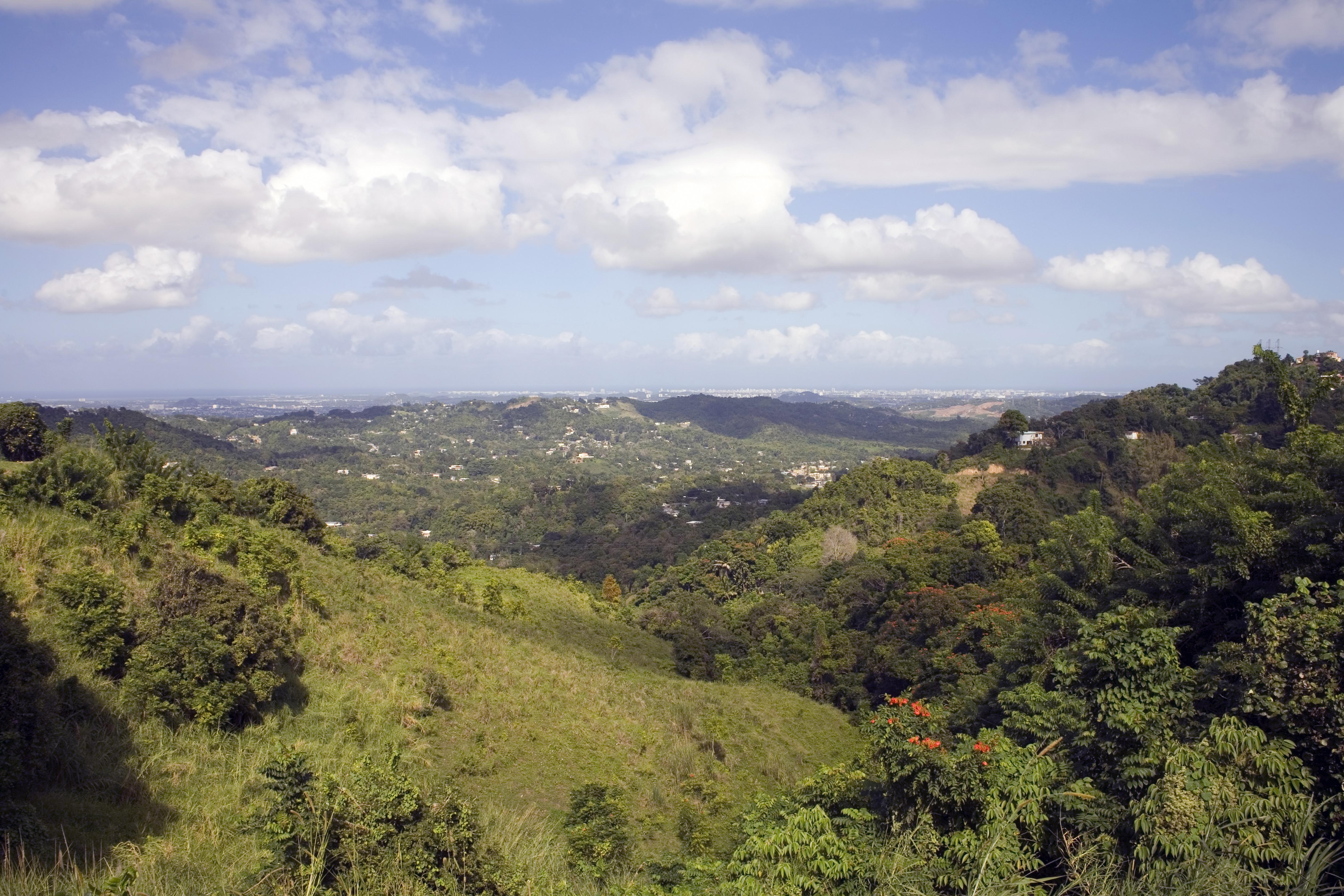 Bayamon puerto rico photo