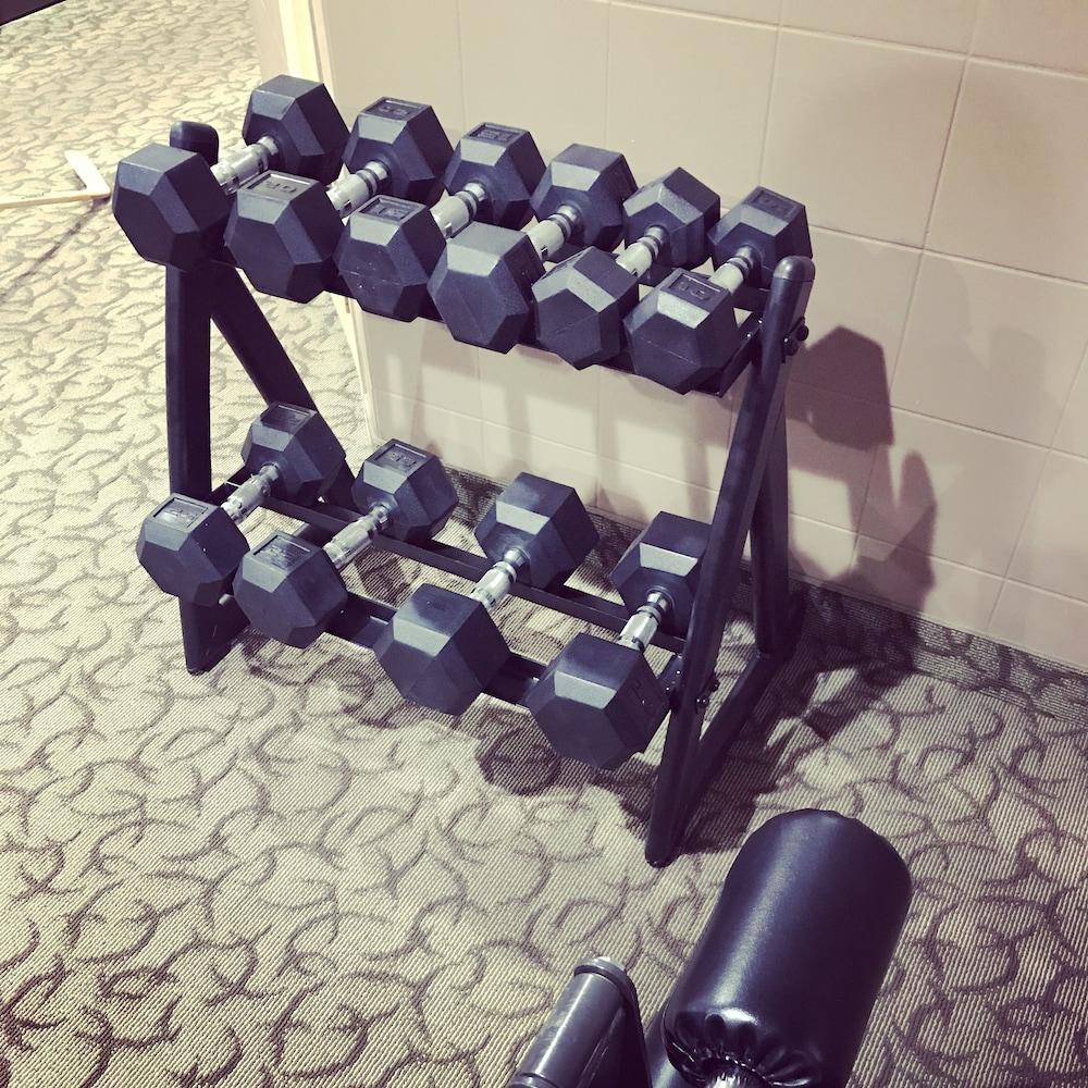 20 Lb Hex Dumbbells for Sale in Las Vegas, NV - OfferUp