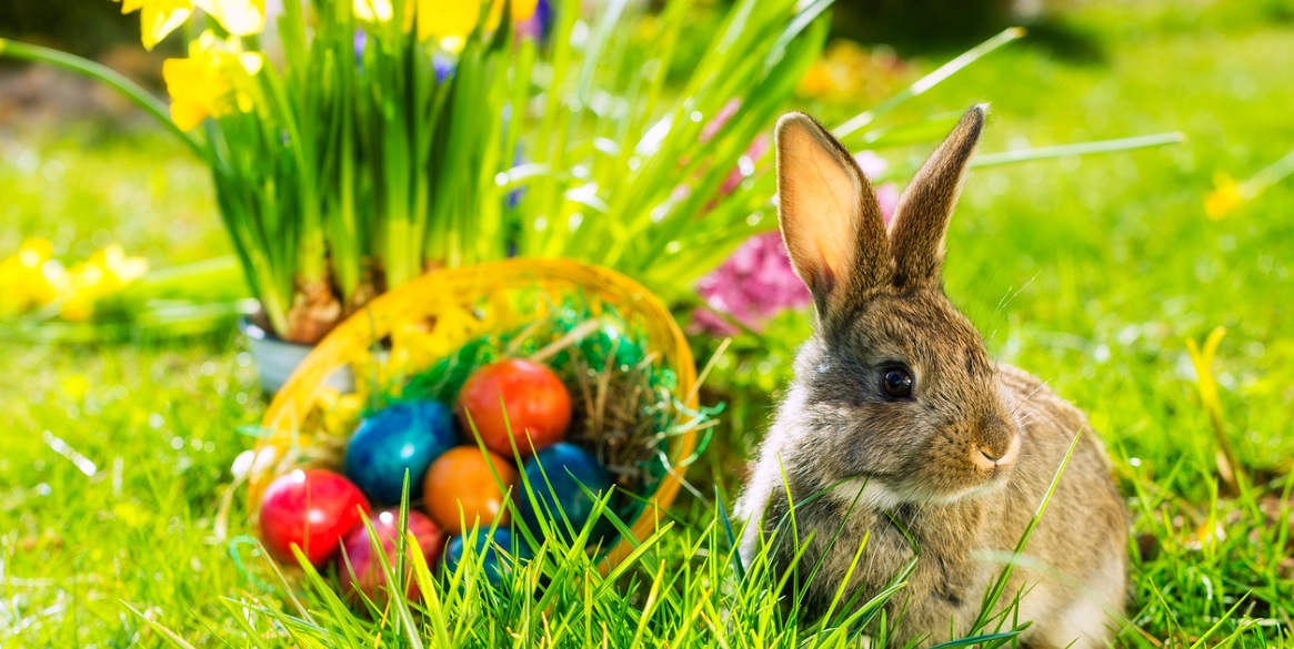 The Top 10 Easter Egg Hunts Around the 