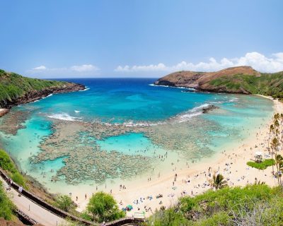 10 Most Dreamy Waikiki Beach Hotels with Ocean Views - HotelsCombined ...