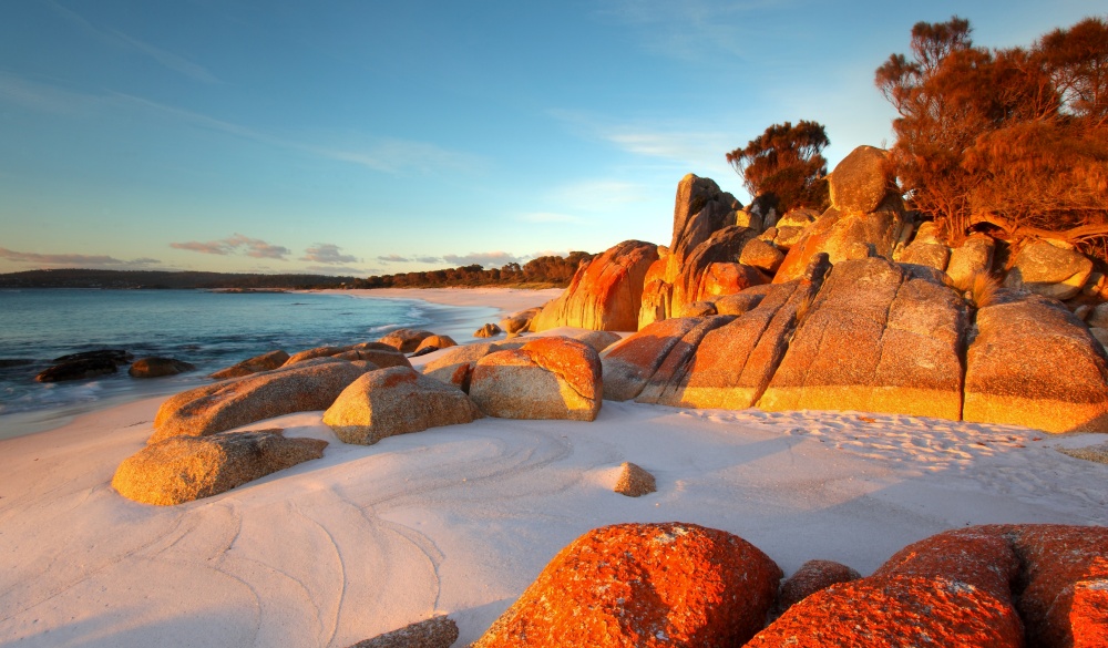 Red lichen on rocks at Bay of Fires