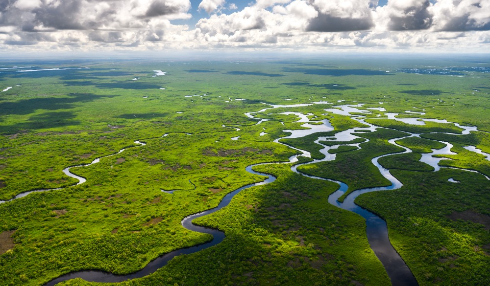 Aerial view of Everglades National Park in Florida, USA, UNESCO site in the US