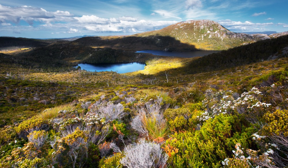 Dove Lake view