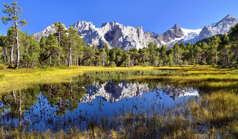 Chaltenbrunnen bog with the Engelhornern mountains and Rosenlaui Glacier, Kaltenbrunnen, Rosenlaui, Meiringen, Canton of Bern, Switzerland