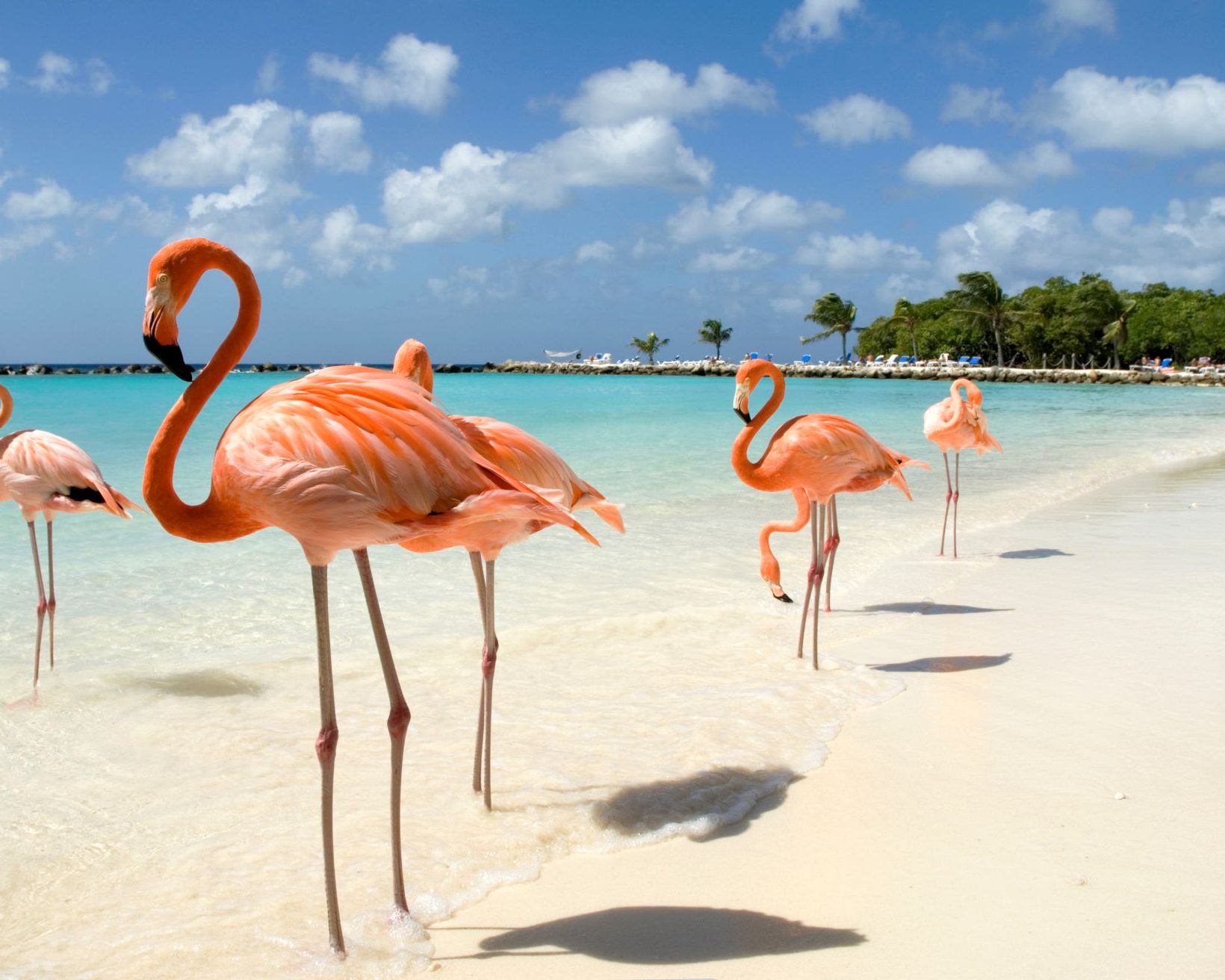 Куба остров Кайо Коко отель Фламинго