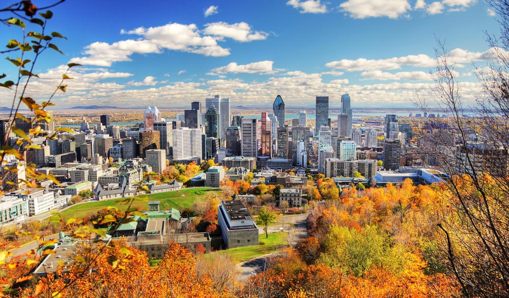 Autumn Colors in Montreal City