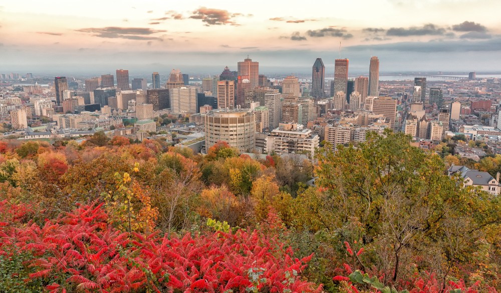 Montreal from Mount Royal Park