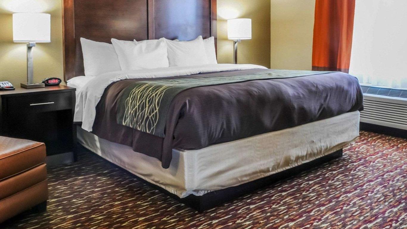 Comfort Inn & Suites Artesia