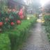 Outdoors view