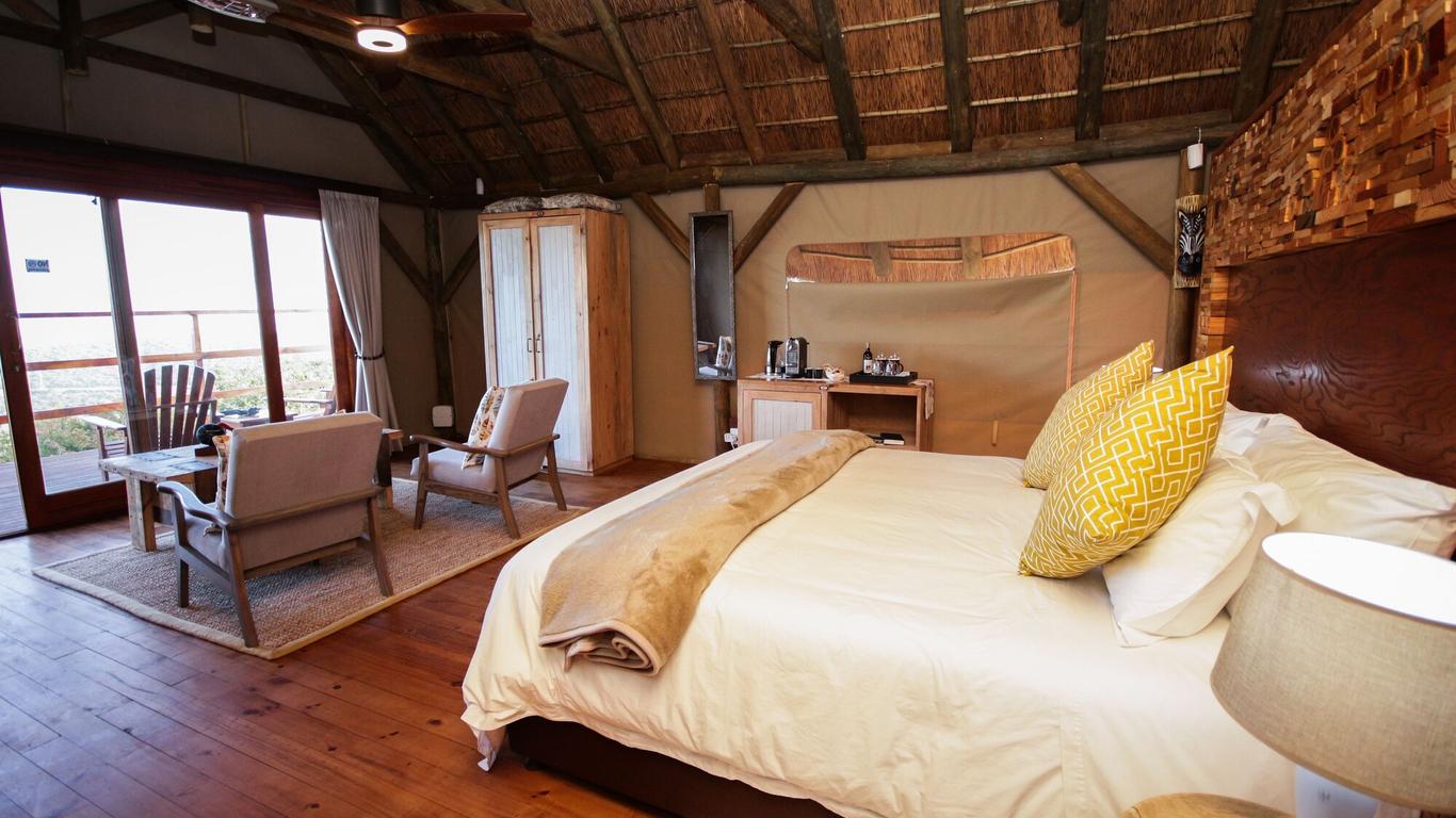 Jbay Zebra Lodge