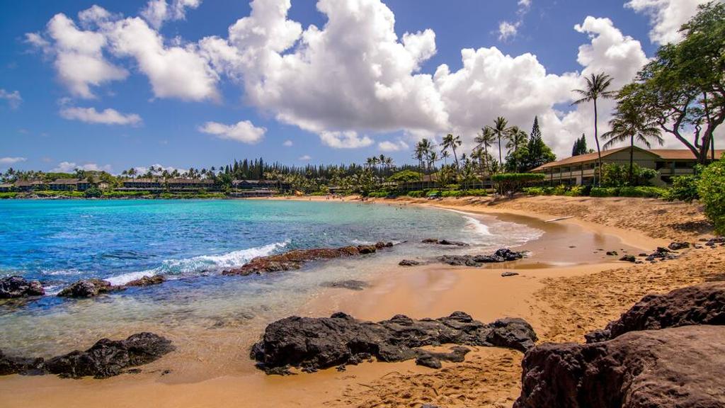 Napili Shores Maui By Outrigger, Lahaina | HotelsCombined