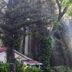 Outdoors view