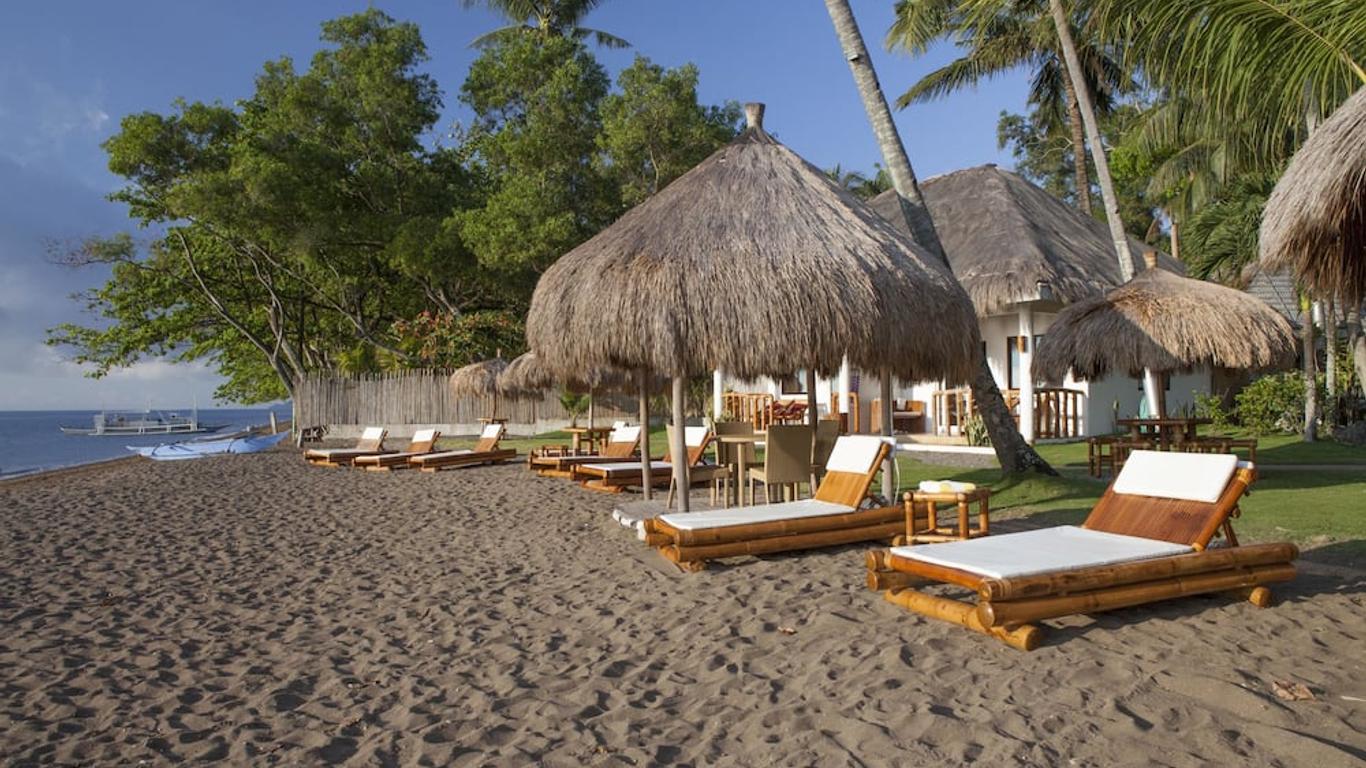 Pura Vida Beach & Dive Resort