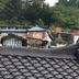 Outdoors view