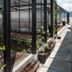 Rooftop
